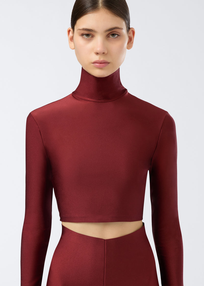 Orchid Turtleneck Top